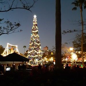 Meet your Posher, Cara